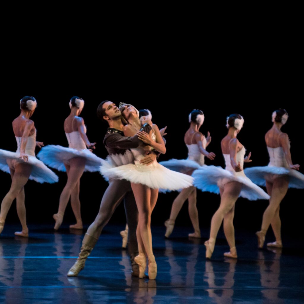 SPCD estreia O Lago dos Cisnes