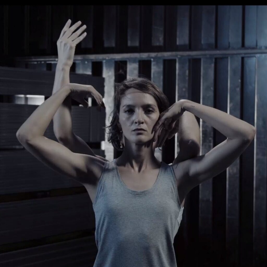 Festival Internacional de Videodança Sans Souci