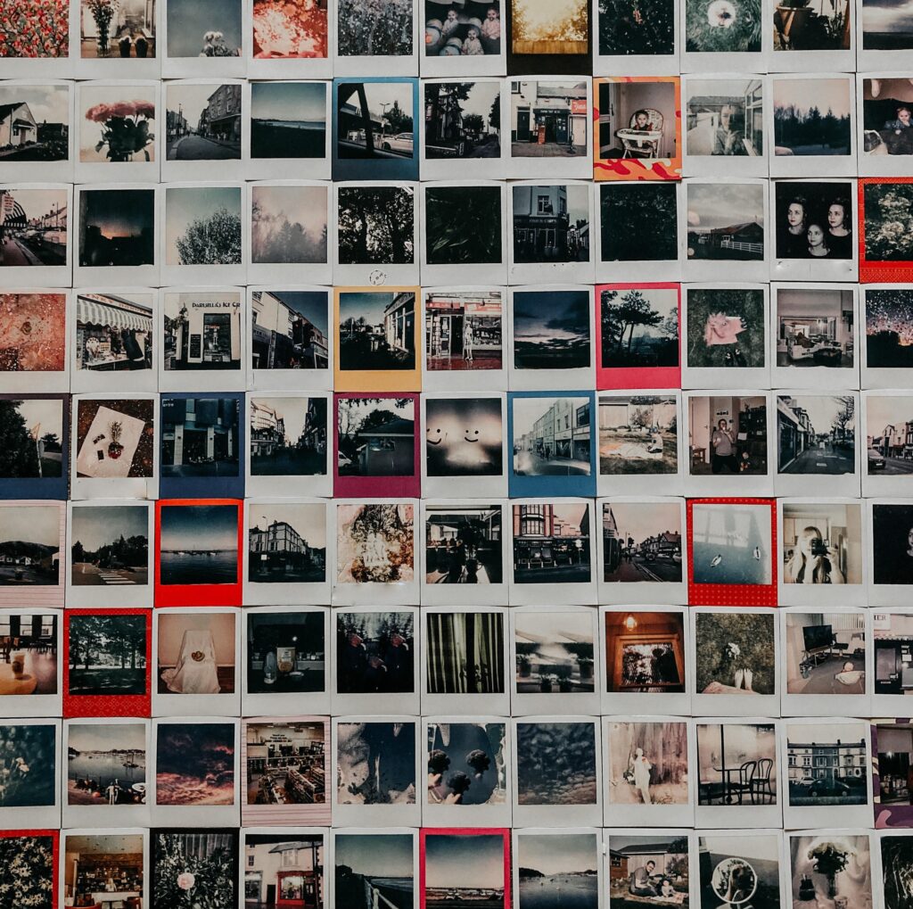 Crítica, elogio e distinção