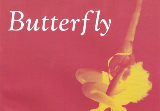 Programa Butterfly