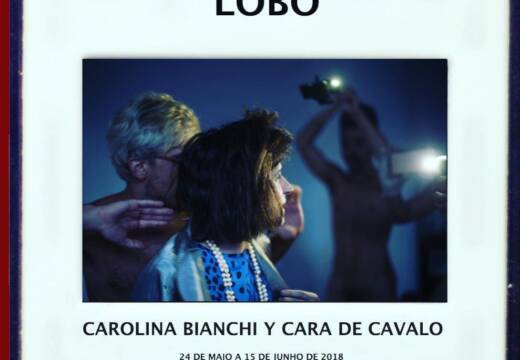 E-flyer Lobo 3