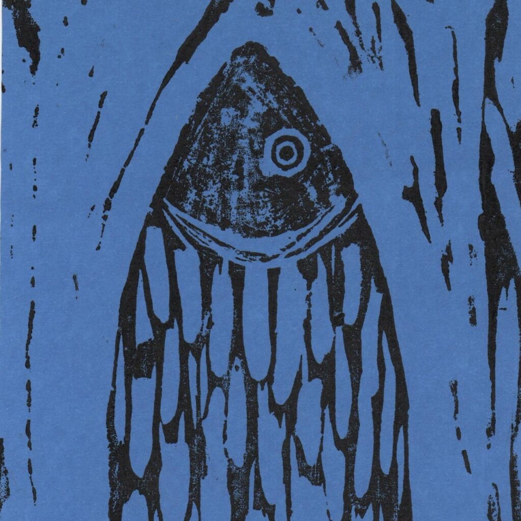 Apreciação ou digressão sobre o solo Tudo De Novo