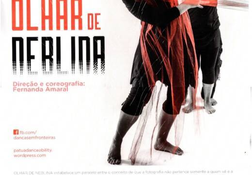 Cartaz Olhar de Neblina 2