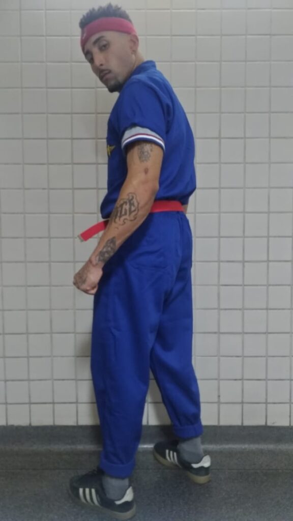 Fotos Pássaros Urbanos