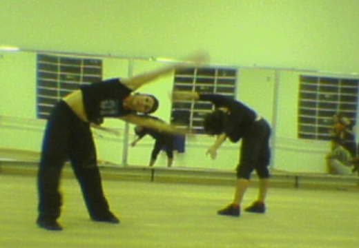 Fotos Corumbá Santuário Ecológico da Dança