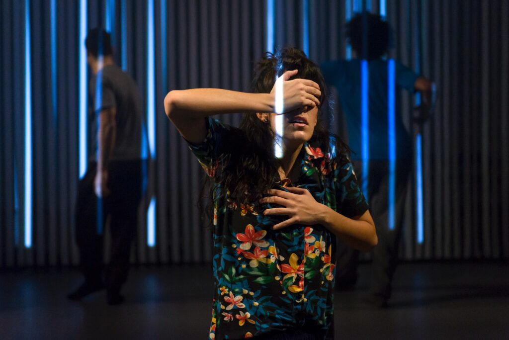 Fotos Singularidades