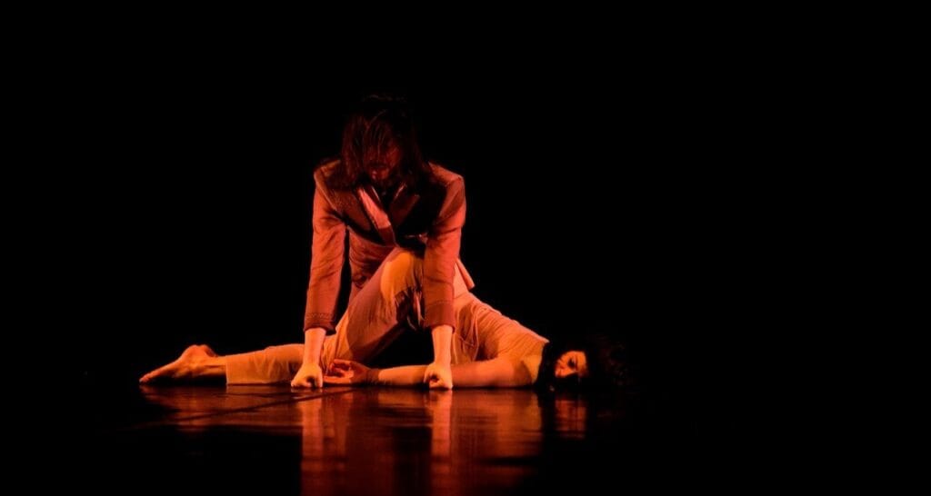 Meu Doce Estimado e O Boi Voador