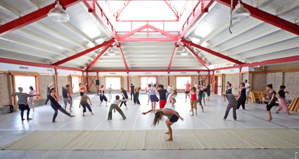 Gaga/dancers workshop