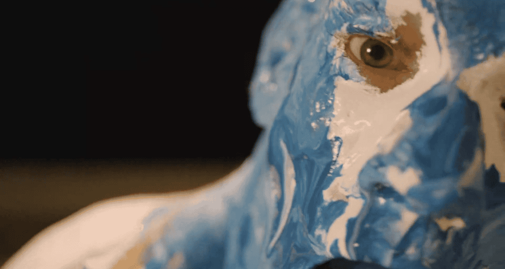 “O ARTISTA E A FORÇA DO PENSAMENTO”