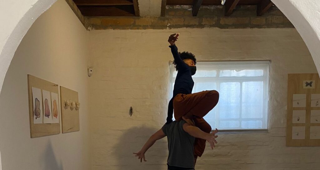 CARNE URBANA II: PERMANÊNCIA – ZONA CINZENTA