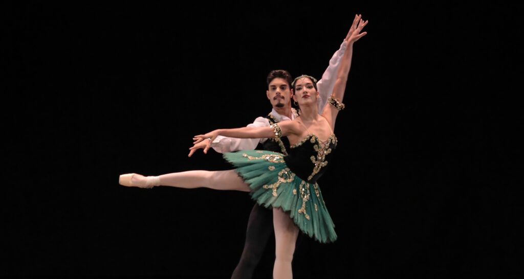 Palestra Repertório SPCD