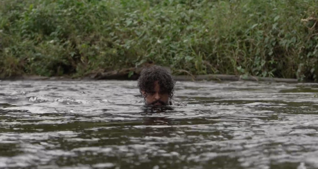 Circulação HUMANIMALIS, um filme sobre Humanidades Animais e Animalidades Humanas