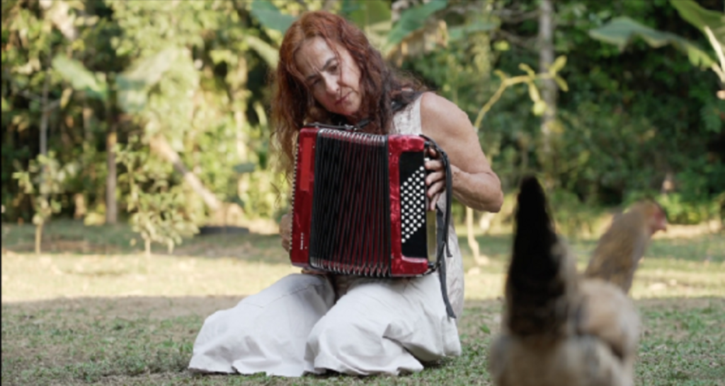 EXIBIÇÃO + DEBATE: HUMANIMALIS