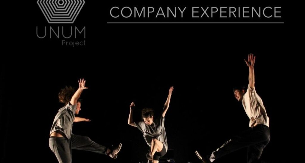 UNUM Project Company Experience