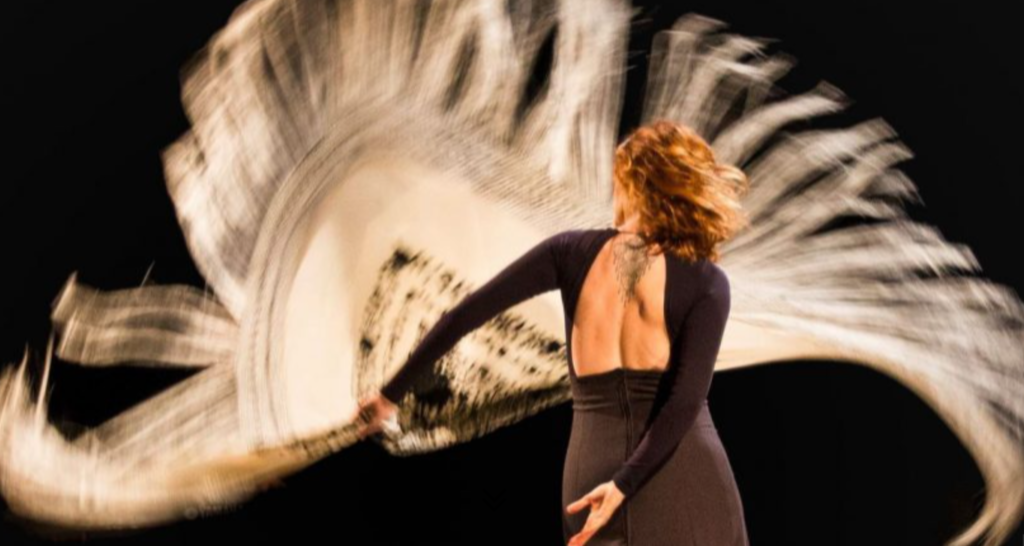 SELEÇÃO PARA BOLSAS INTEGRAIS DE FLAMENCO