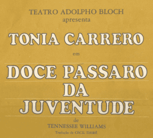 Doce Pássaro da Juventude
