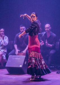 Na foto: Daniele Zill, Graziela Silveira, Juliana Prestes, Eliane Dallegrave, Marcela Gonzaga, Juliana Kersting, Giovani Capeletti, Pedro Souza e Rafael Melo | Fotógrafo: Chico Lisboa