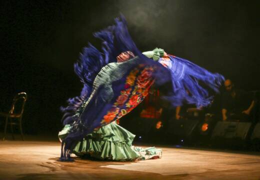 Inmersión Flamenco Porto Alegre (companhia)