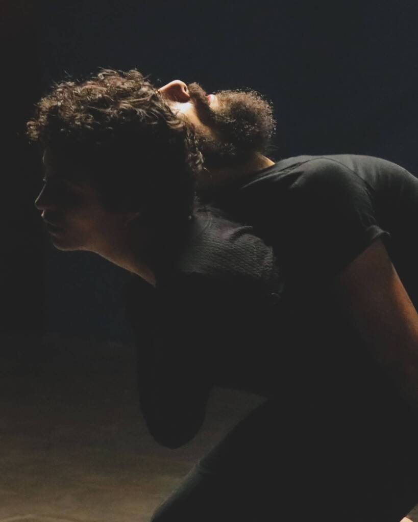 Em Atos de Ruir (Estudos sobre Fracasso)