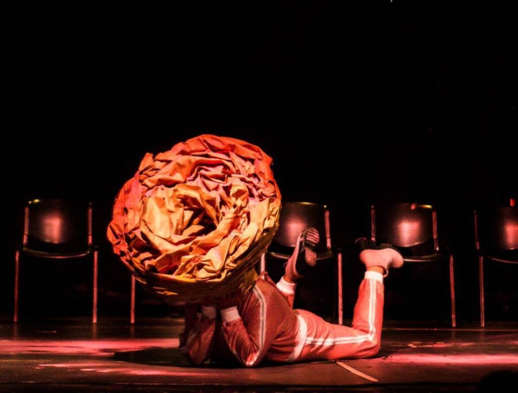 Mostra Cerrado Abierto