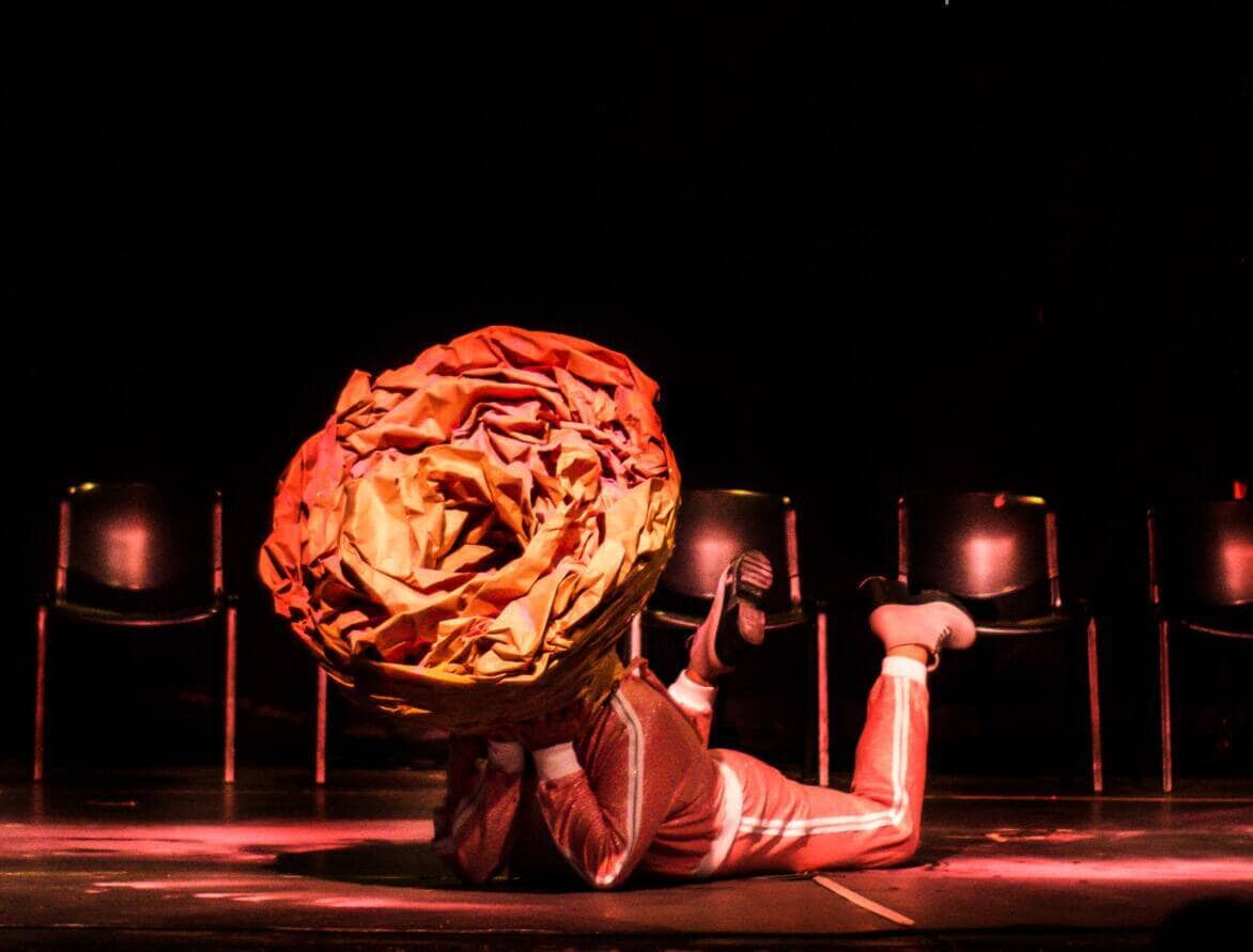 Mostra Cerrado Abierto