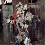 Dança como aliada à sustentabilidade: Práticas para repovoar o meio ambiente, a sensibilidade e os projetos culturais