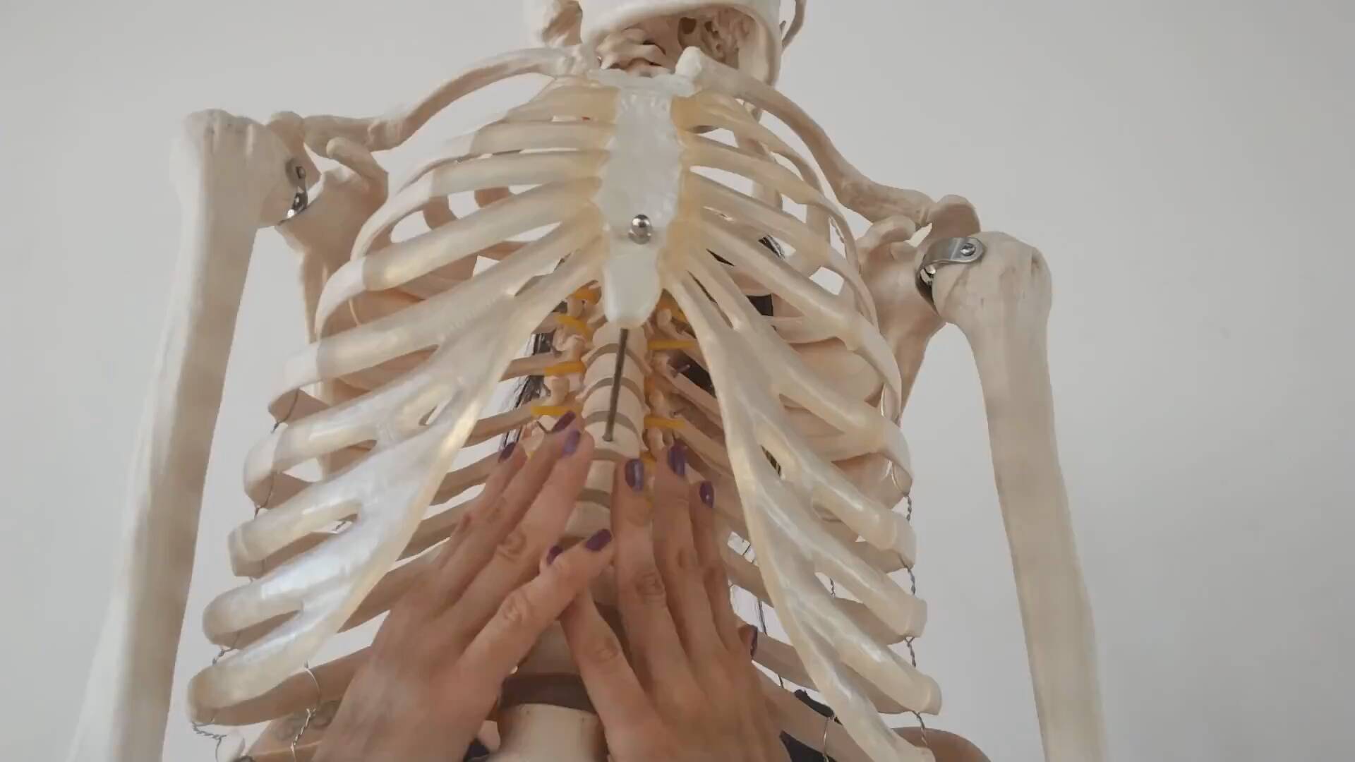 Educação somática: A caverna, a chama e o princípio do giro