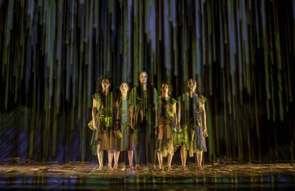 Teimar até que Brote