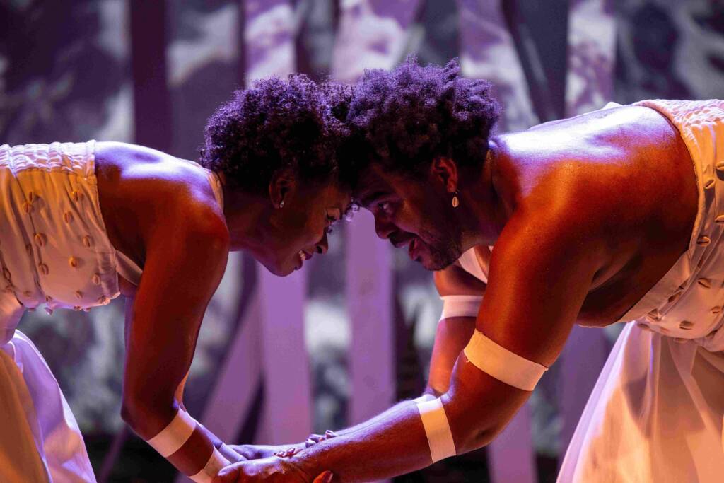 MOSTRA DE DANÇA DO FIM DO MUNDO