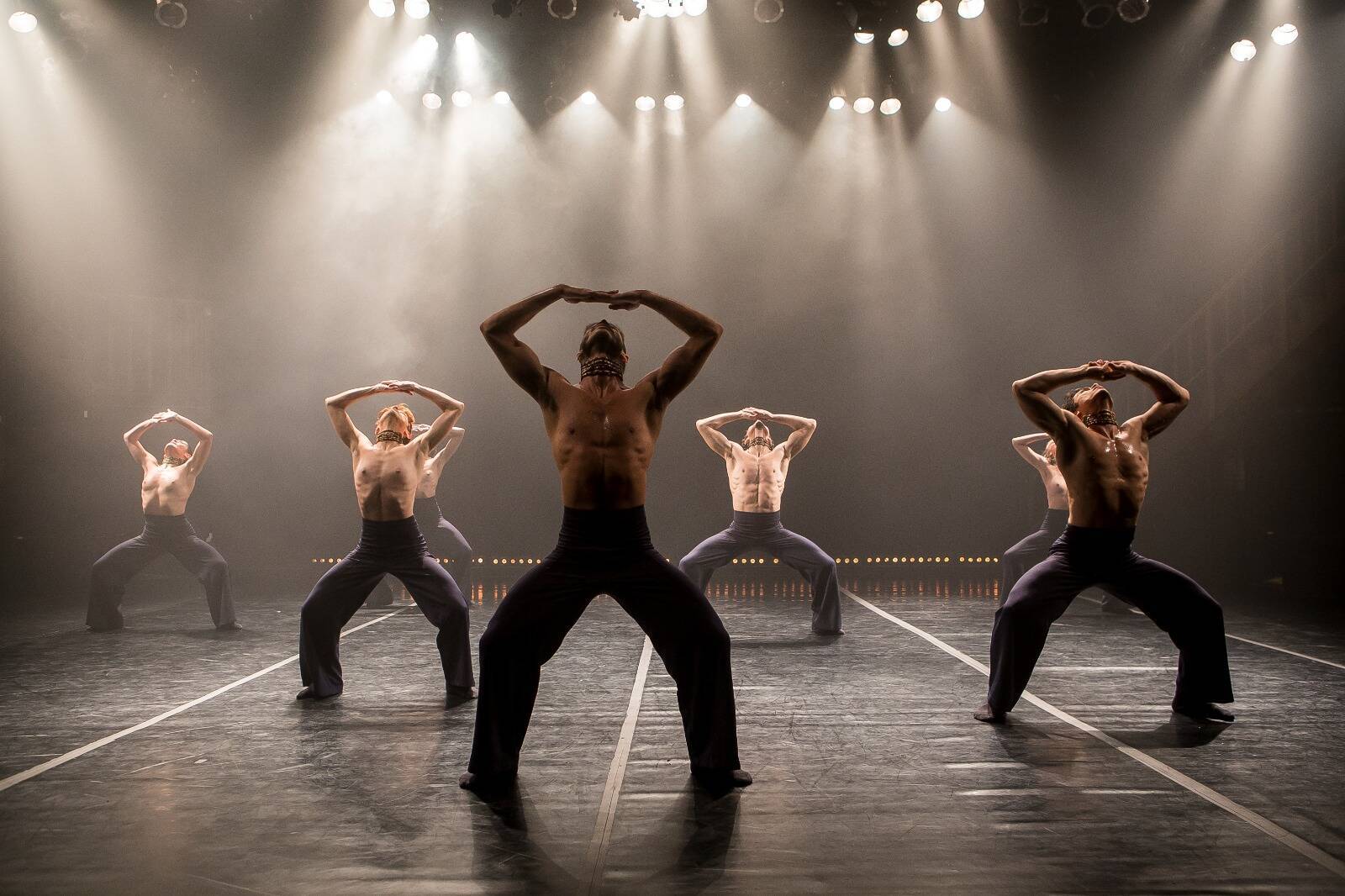 Focus Cia de Dança é a única representante do Brasil no Living Dance Festival, na China.   Artistas e técnicos embarcam sexta-feira (21.08) para 13 dias de turnê; viagem tem duração de 32 horas